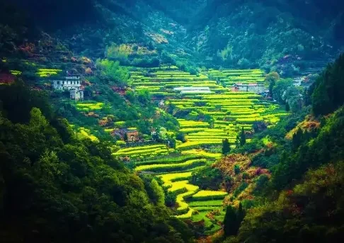 54346f0e73ba01c6875592d23da5bf12-sz_468625