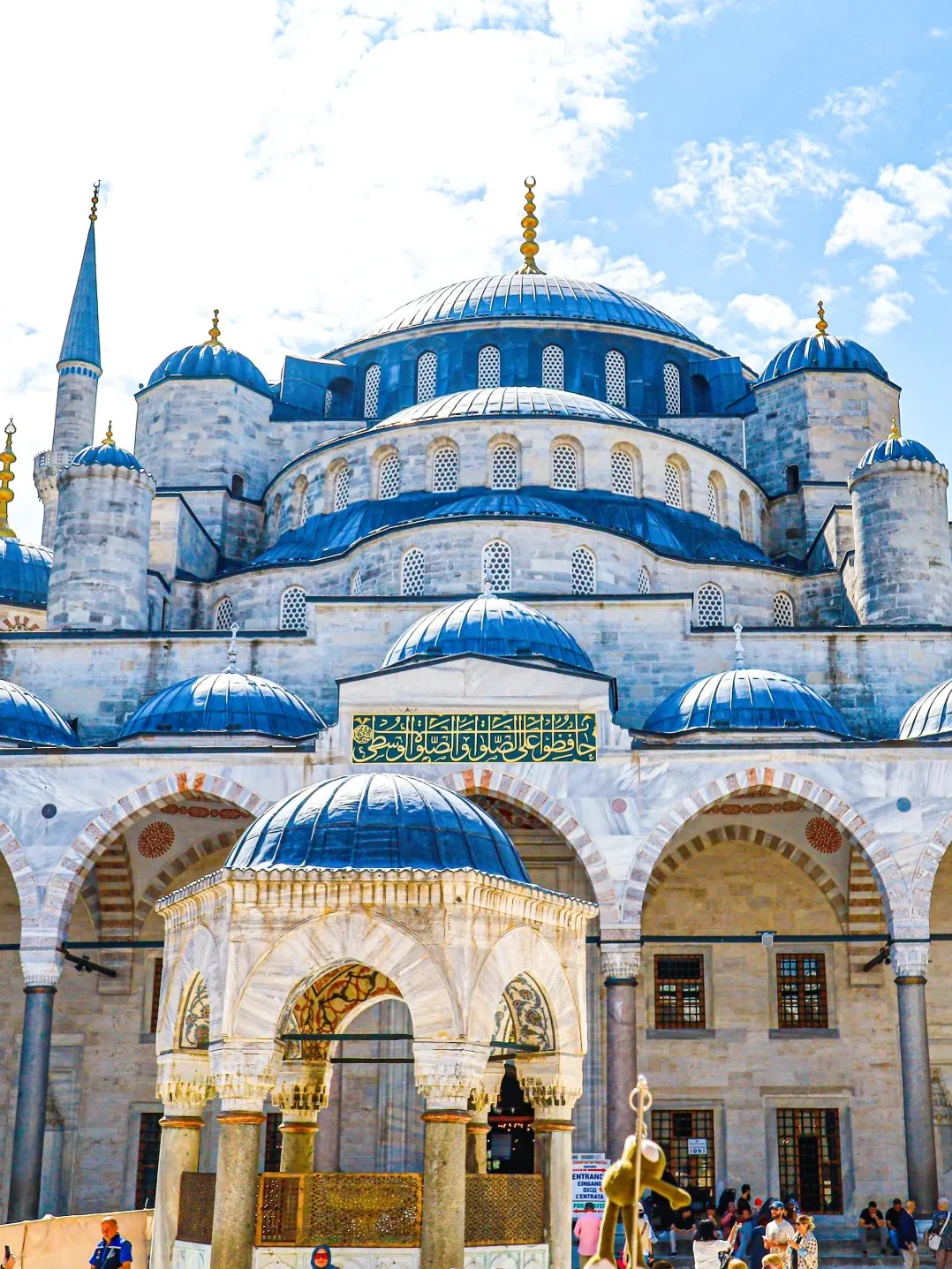 54717779db69200ce58c4a85f3f8273b-sz_516633