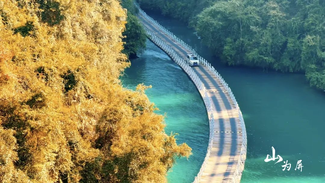 5480c4dd827f06a20bfc5f5783e779aa-sz_2648060