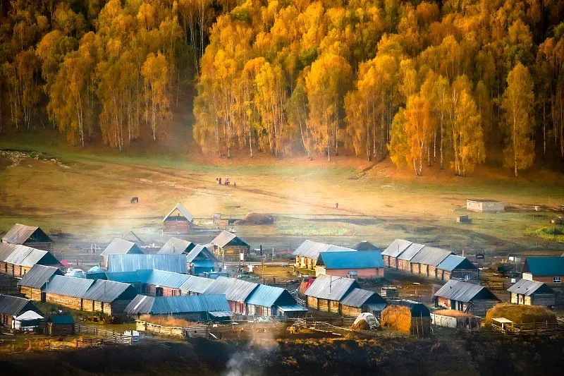 549d7c171b1e9e6d0fd6621a6eb6eb93-sz_172200