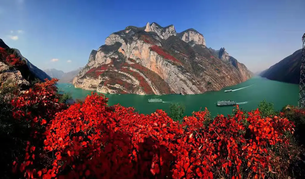 549e9622d78d35c28c5eff2d5b28428e-sz_113281-1