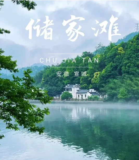 54b96c293b581caf0401fa0032c4bebf-sz_734220