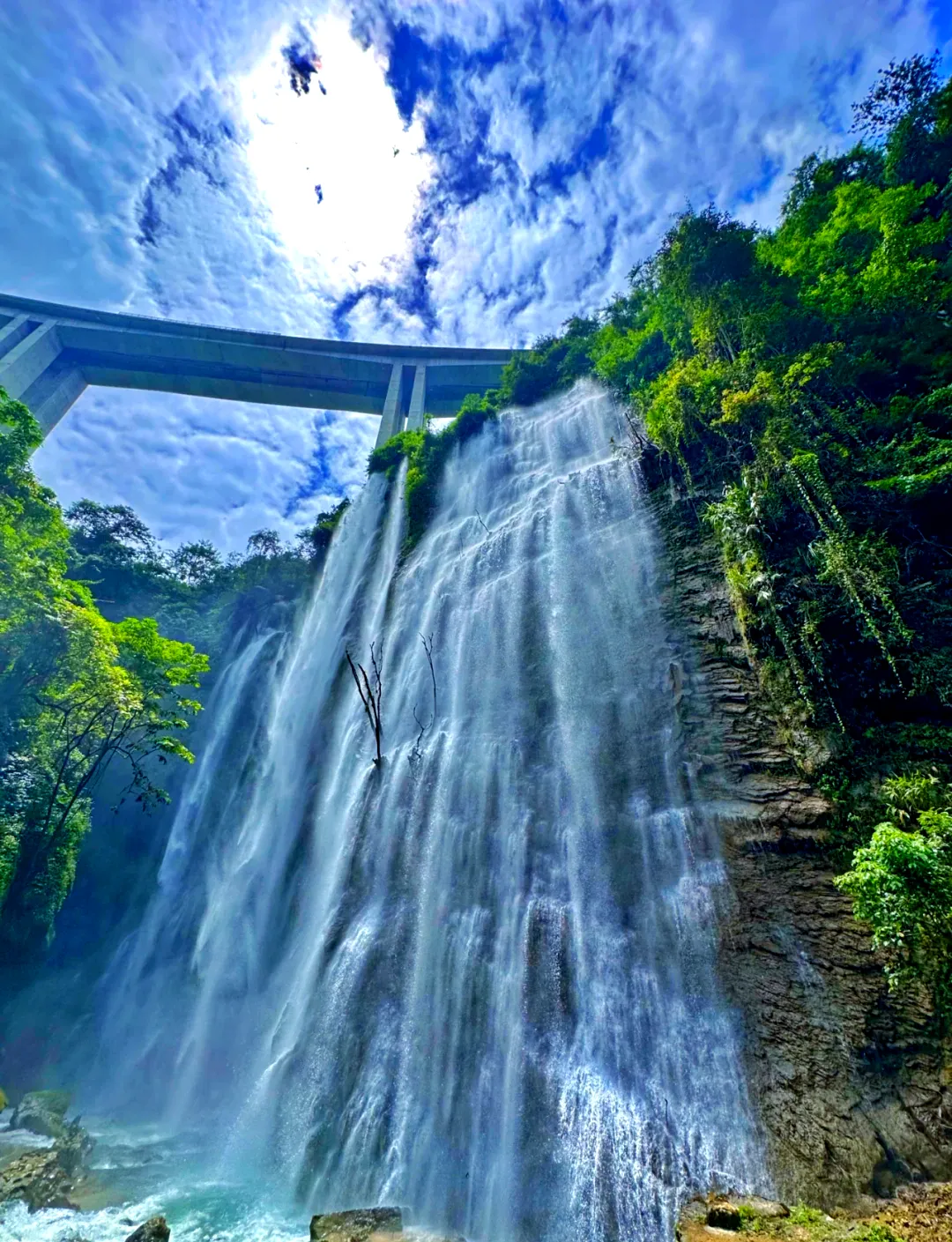 54dc6e6fb85ccf826f0115778aef9390-sz_2466183