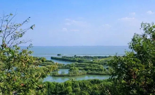 54e692e1b7eca5483071c185e0d35e69-sz_55832