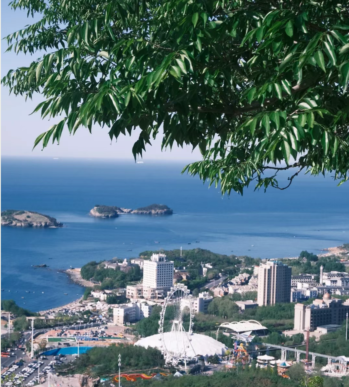 54faac42e97d7918a3178167cc28ec2e