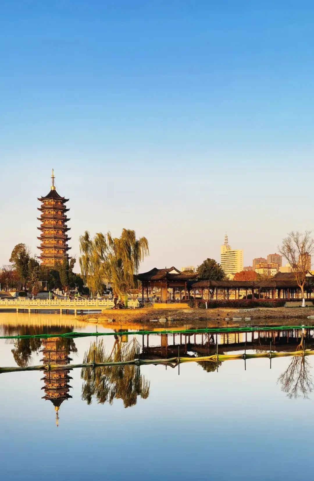 54fb38b5be2ff0bb895c5015a3cfe26c-sz_586161-1