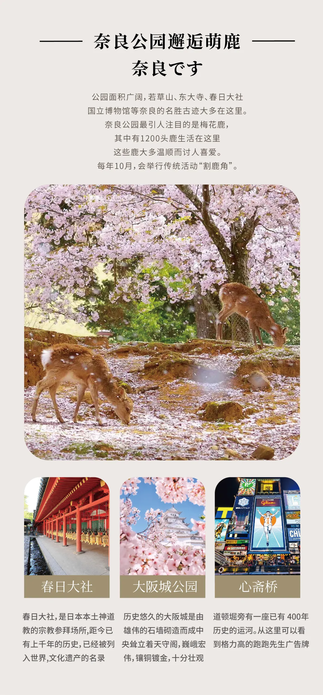 5517b094cefc43dbd0fec56abb09c367-sz_3651392