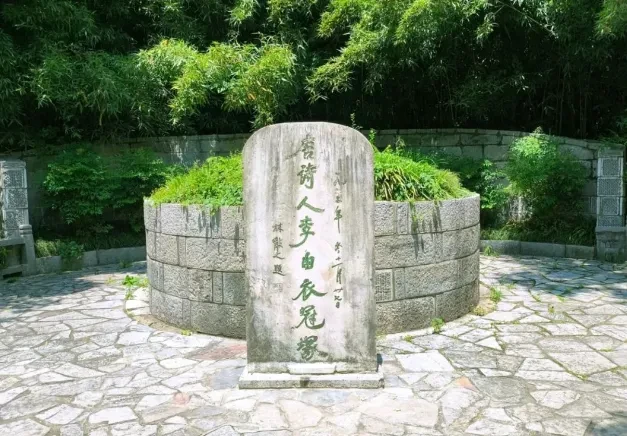 5521675858a3453efa283de234571f05-sz_786344