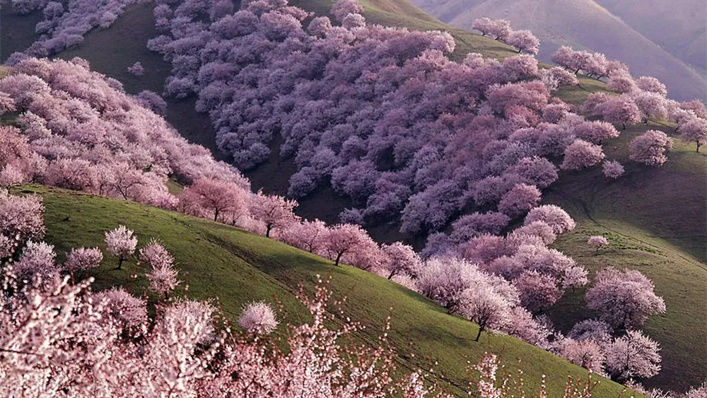 55310ab838409733f7df641732350b71-sz_277541