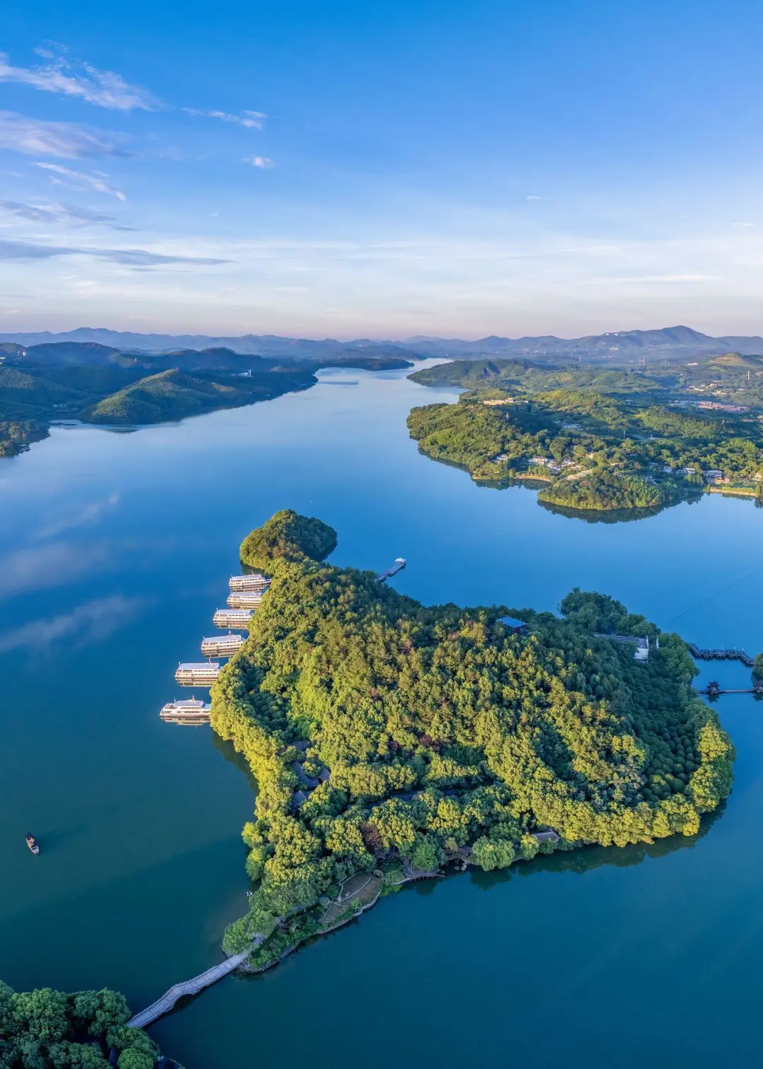 5563fb4efbd3879d717805d1c1efb22b-sz_305769