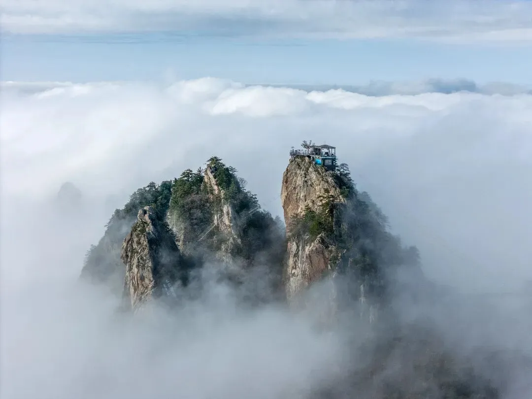 5567e6f7af0ea8814d0df3041a4db663-sz_572079