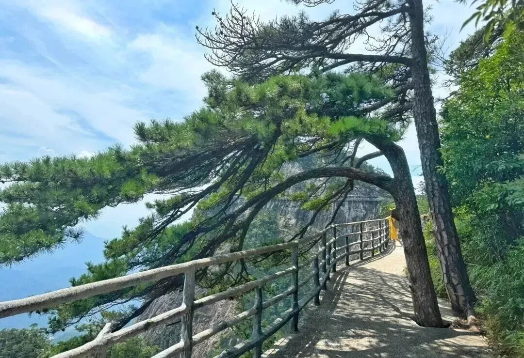 557bec83cfdad07f795494e45f97f468-sz_236685