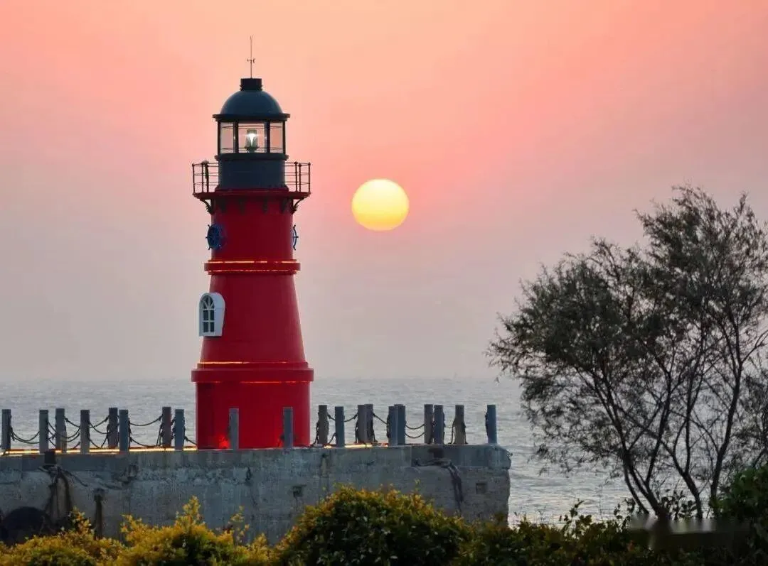 55adb2d6c837dc7049c0761b3aa35ce7-sz_99208