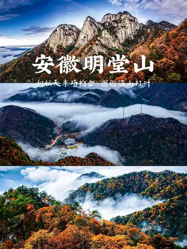 55cff9e3ead4c93ae9e56adf1de2e2ea-sz_1119766