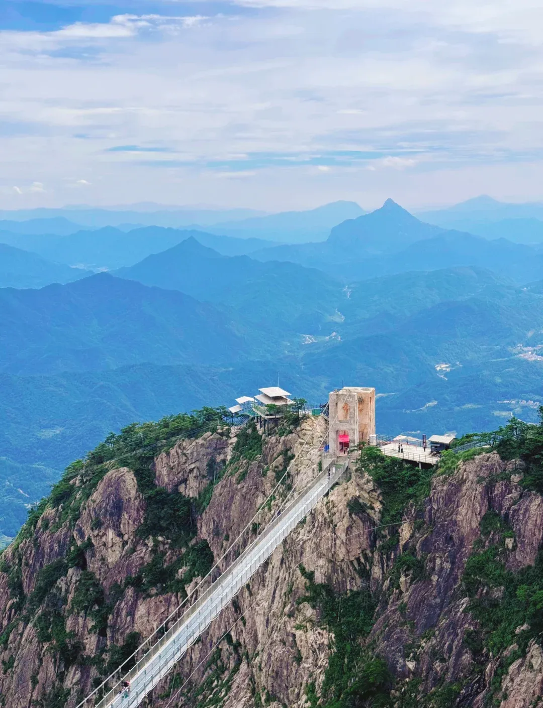 55f364d2f1deee28d80f1bee24987b8f-sz_2138336