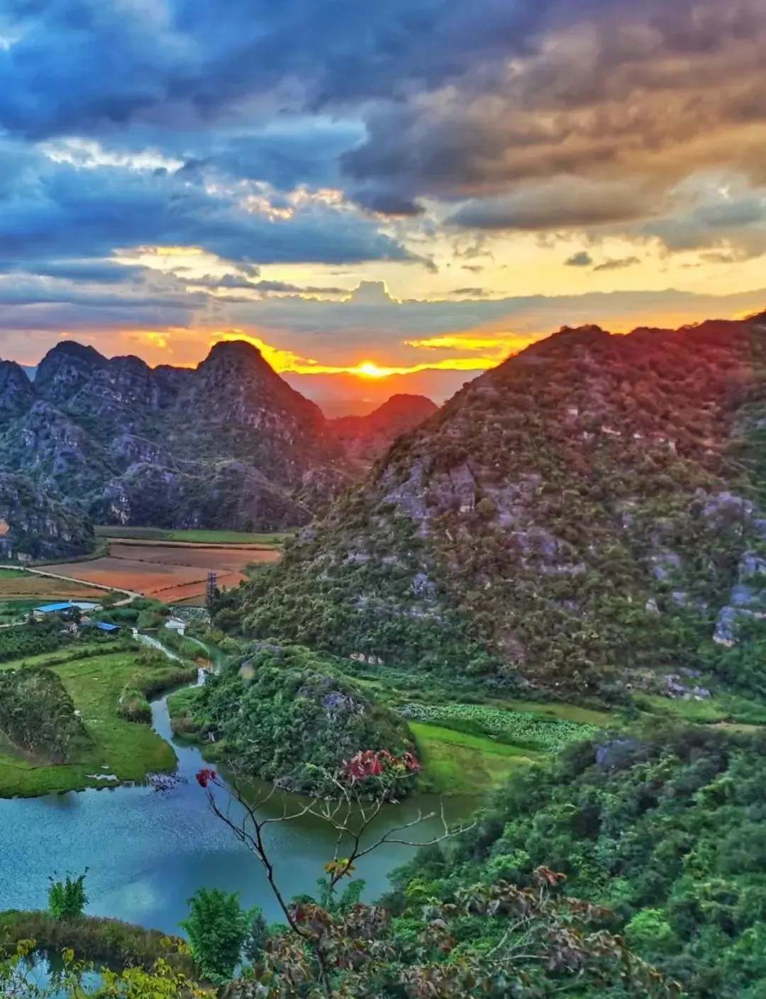 55fb200e7cab91f78b89ab4a19aa8597-sz_2317446