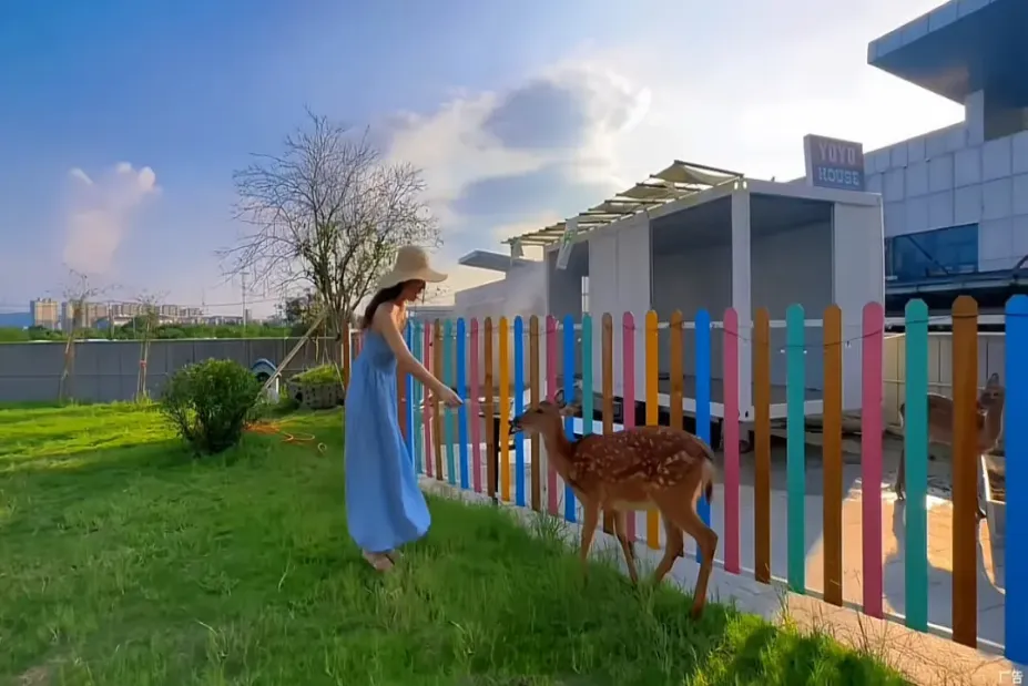 5632379efed8856d6a43db98c78a3fbc-sz_731954