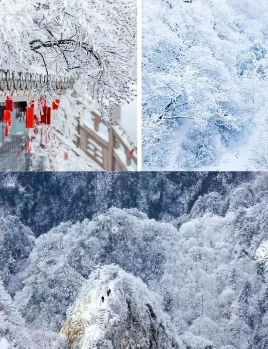 5667cf0aedf0238d78e744283f94bfc3-sz_966902