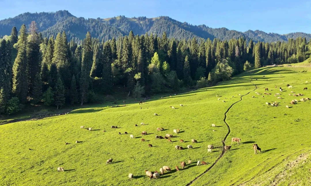 568056b346d543fbac4a8e5c59e208ea-sz_1817281 568056b346d543fbac4a8e5c59e208ea-sz_1817281