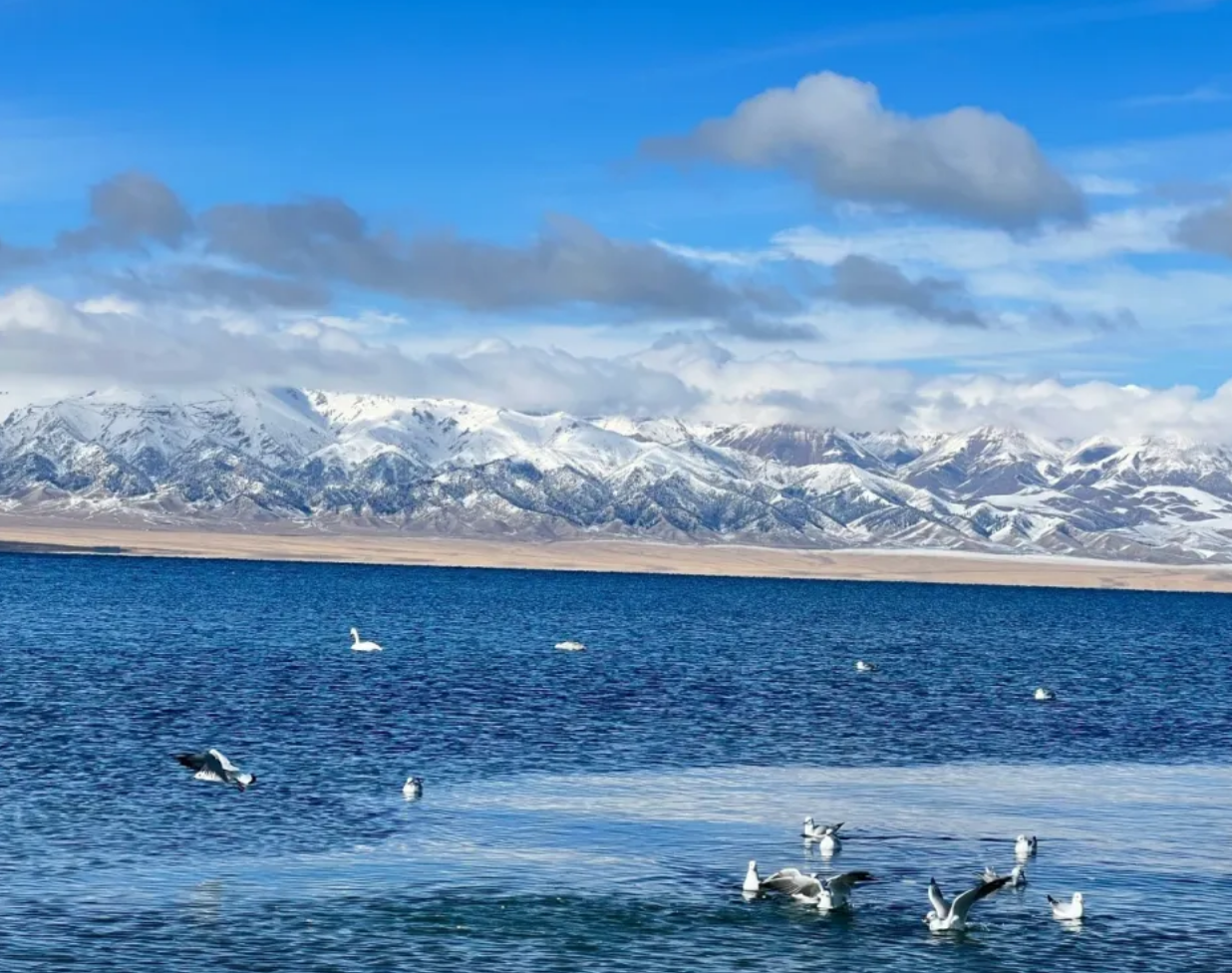 56988b75452ebe8db010e2d4f744dbc7 56988b75452ebe8db010e2d4f744dbc7