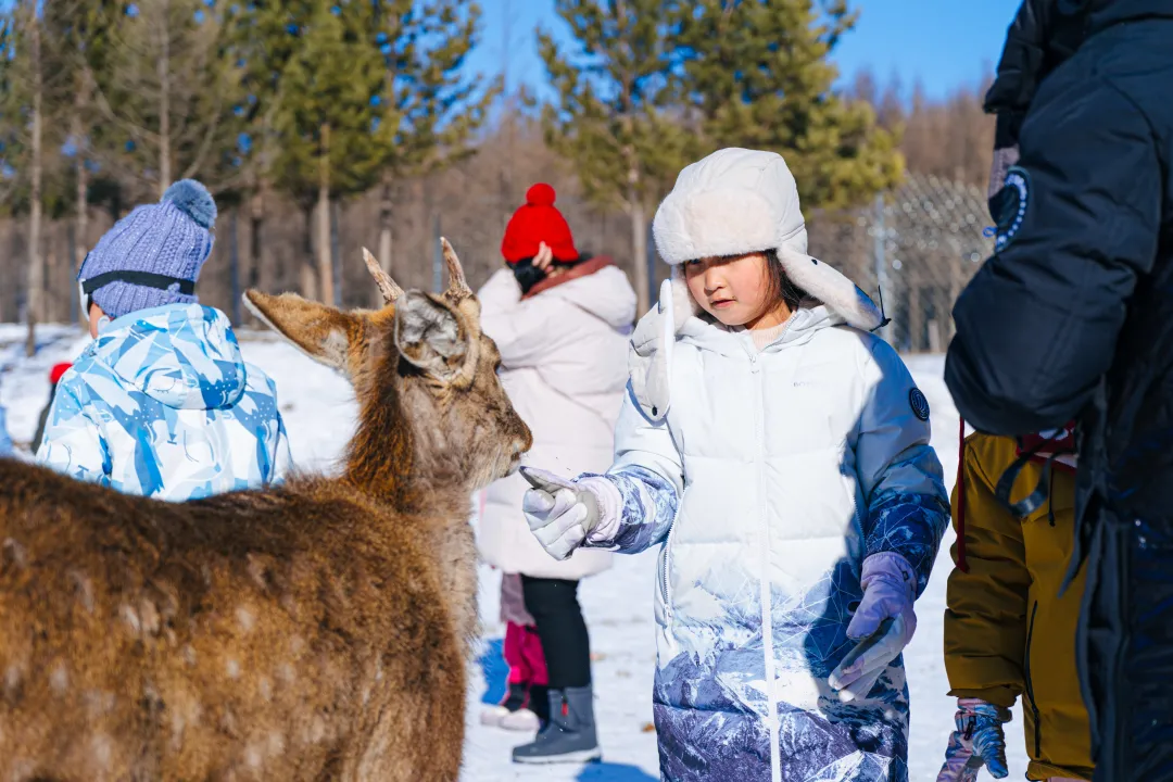 56d22ede429678f59198a375e0555ba6-sz_2991651