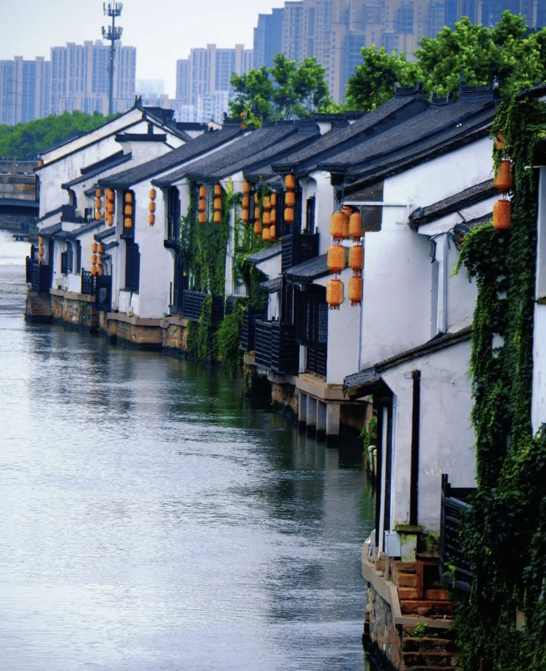 56d82d09e1dd25646740874fa32b7436-sz_467787