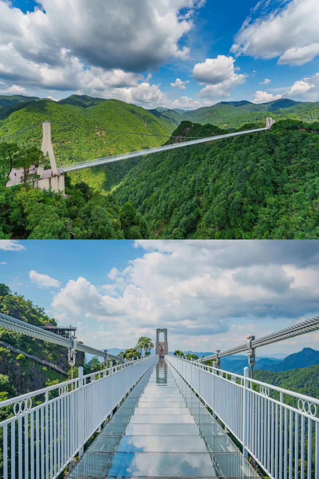 56ff20525ba5b741c1ef600110959faa-sz_415603