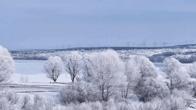 57339ab36256d19d935d42571e7127a9-sz_9296630