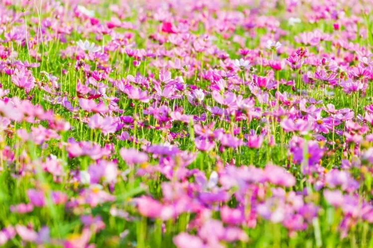 5738765f0d10862d0b4a3d42697cc584-sz_3039236