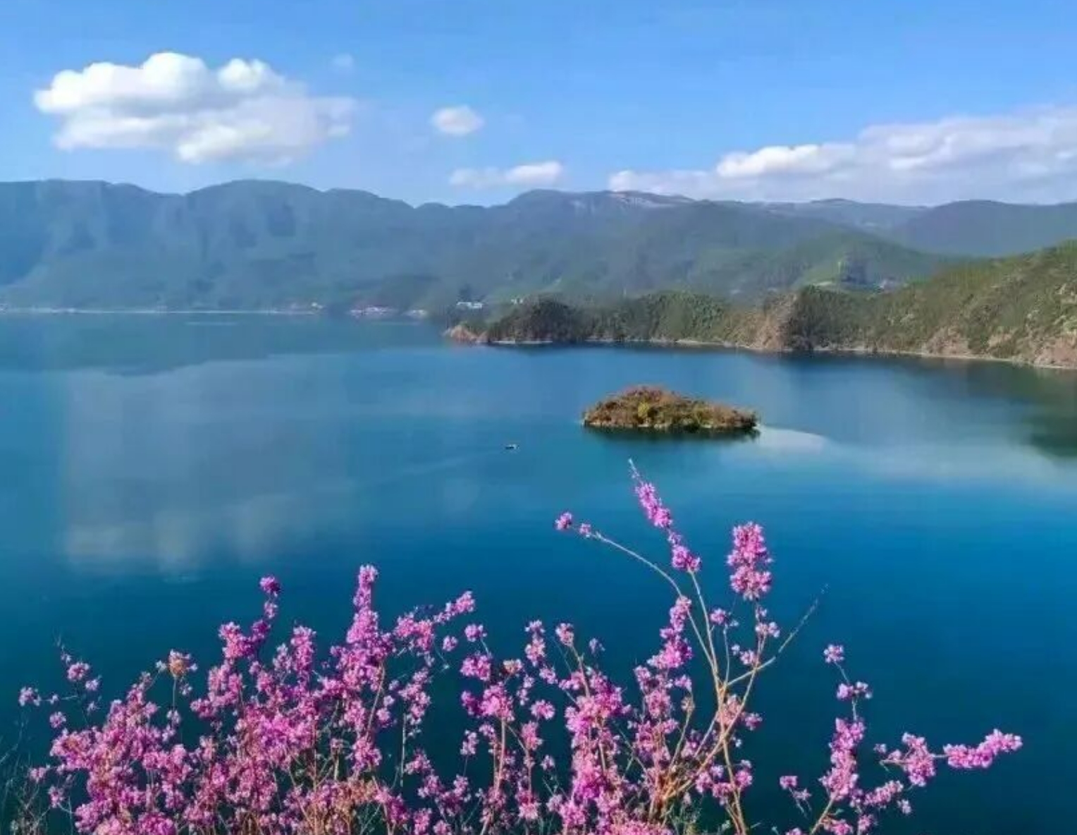 5747a84fc469d6982010d9611c587276