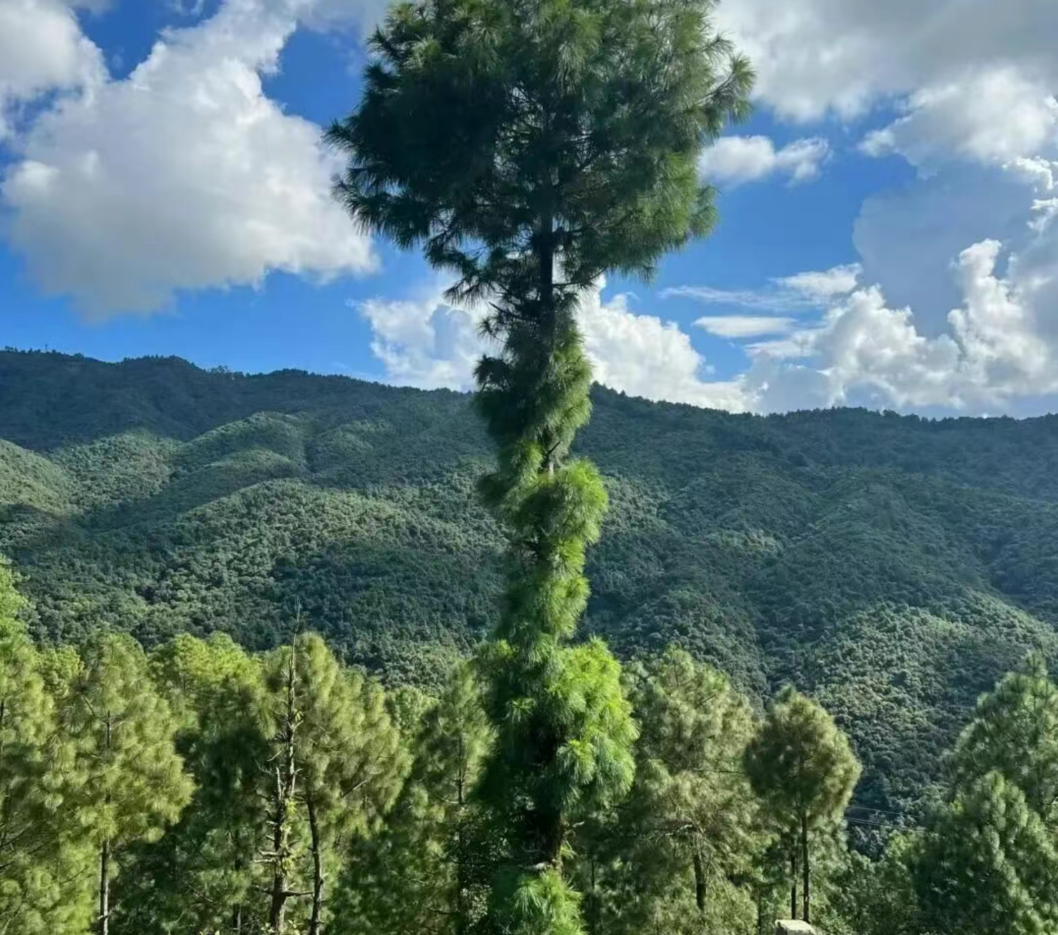 574a158bf3100bbd775369ab1a983aef