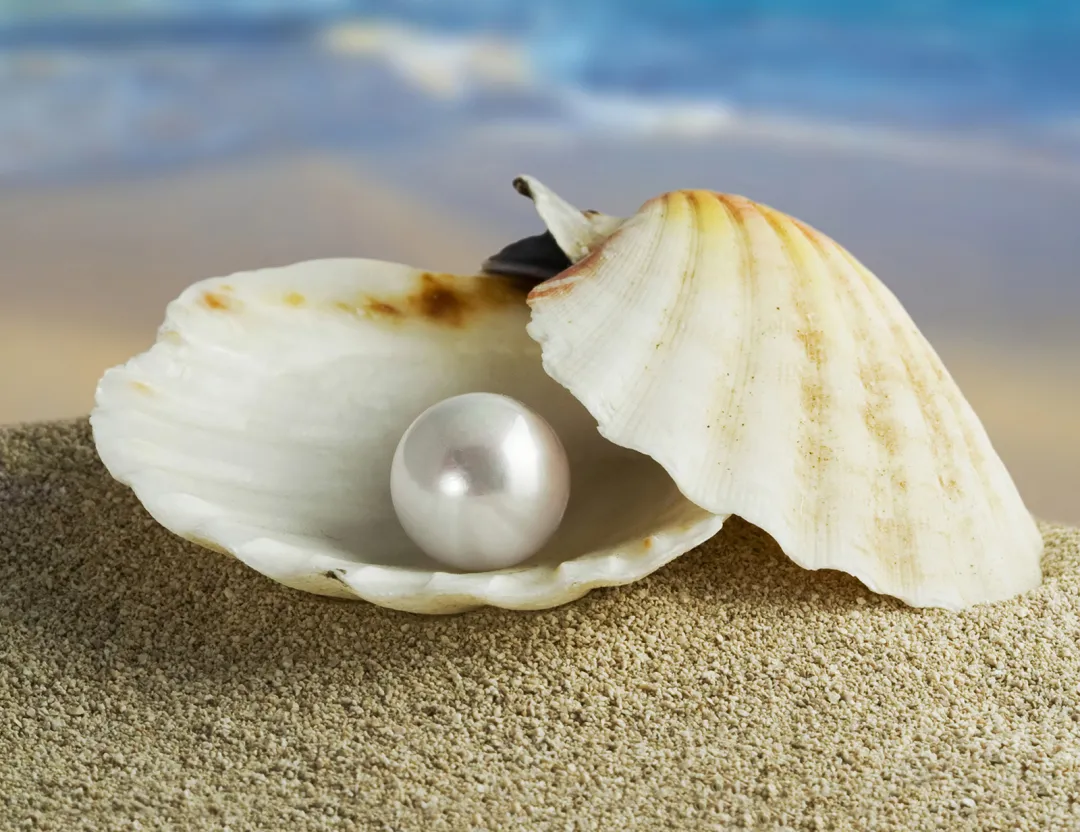 5783eadbd76de6628421d742bc6f03bd-sz_1982510-1