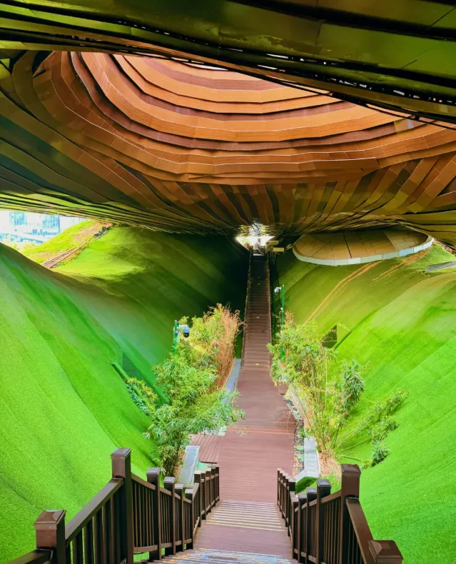 579304788ec238ef4a0c97bade1c913b-sz_1050366