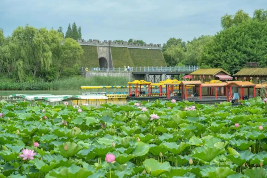 57b2d4fc2c00bf216884732b0ed8c014-sz_101952-1