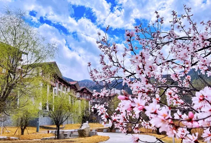 57e9253afd45af3a1ad8cdd850c023f4-sz_768106