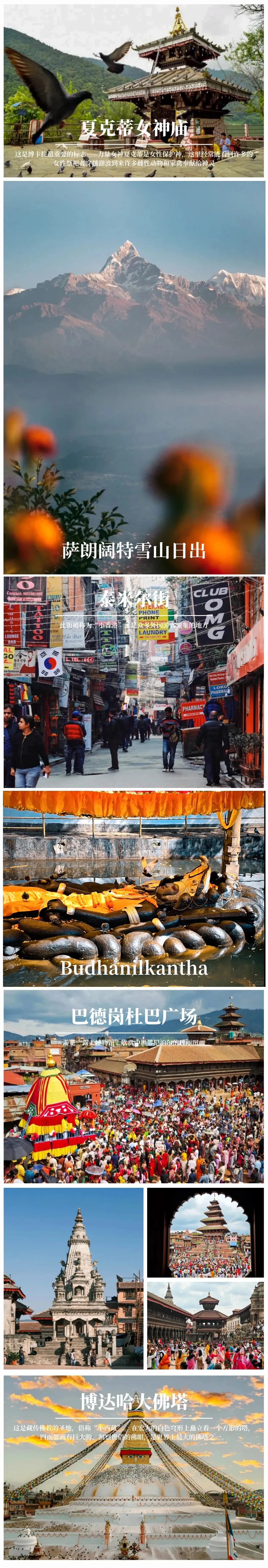 5831252ed797b953ad148f89d037d0fd-sz_1717323