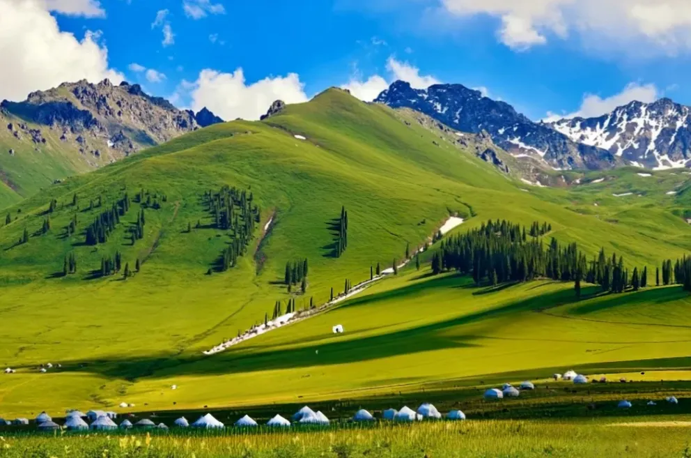 584e9b5470179e9ba870f3fadfc4320e-sz_1027579