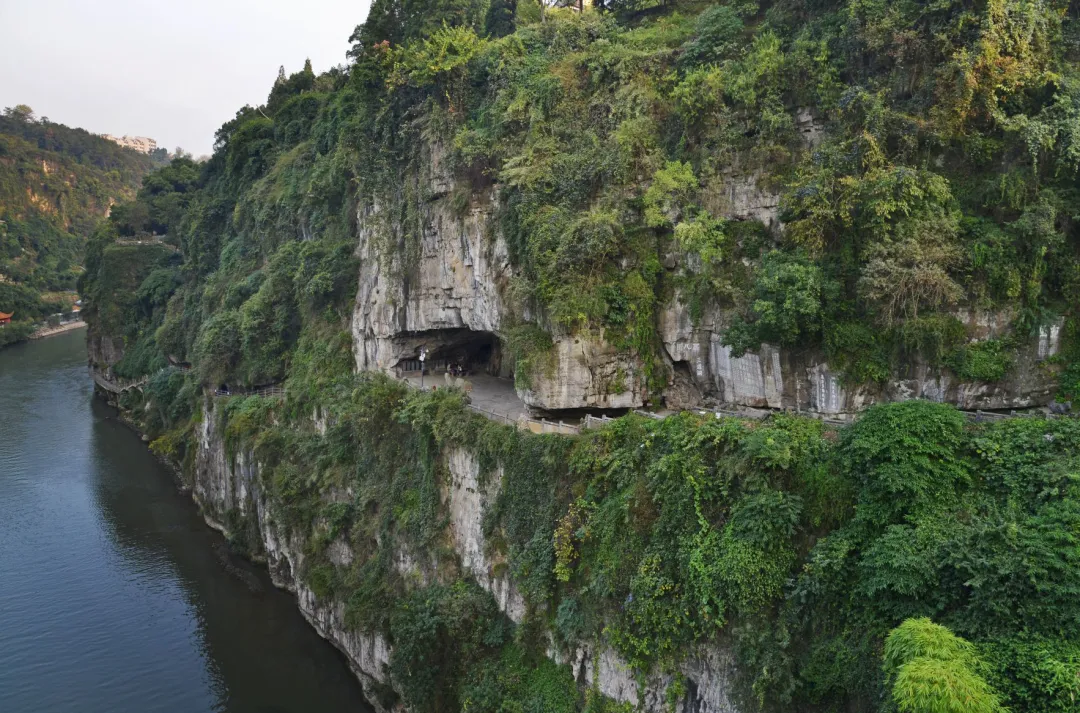 58dac3a5b211c551b538493de04c3dea-sz_4080998