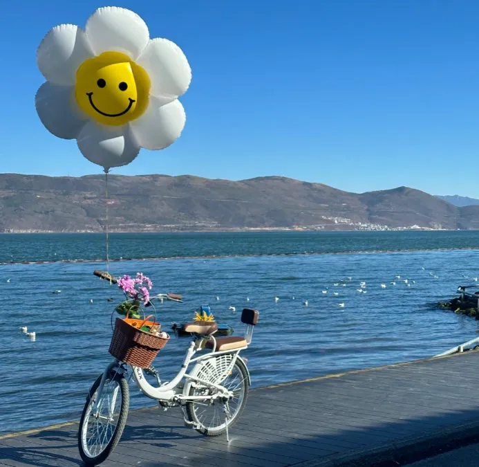 58df68502fc6121930d707d7ae06f503-sz_945333