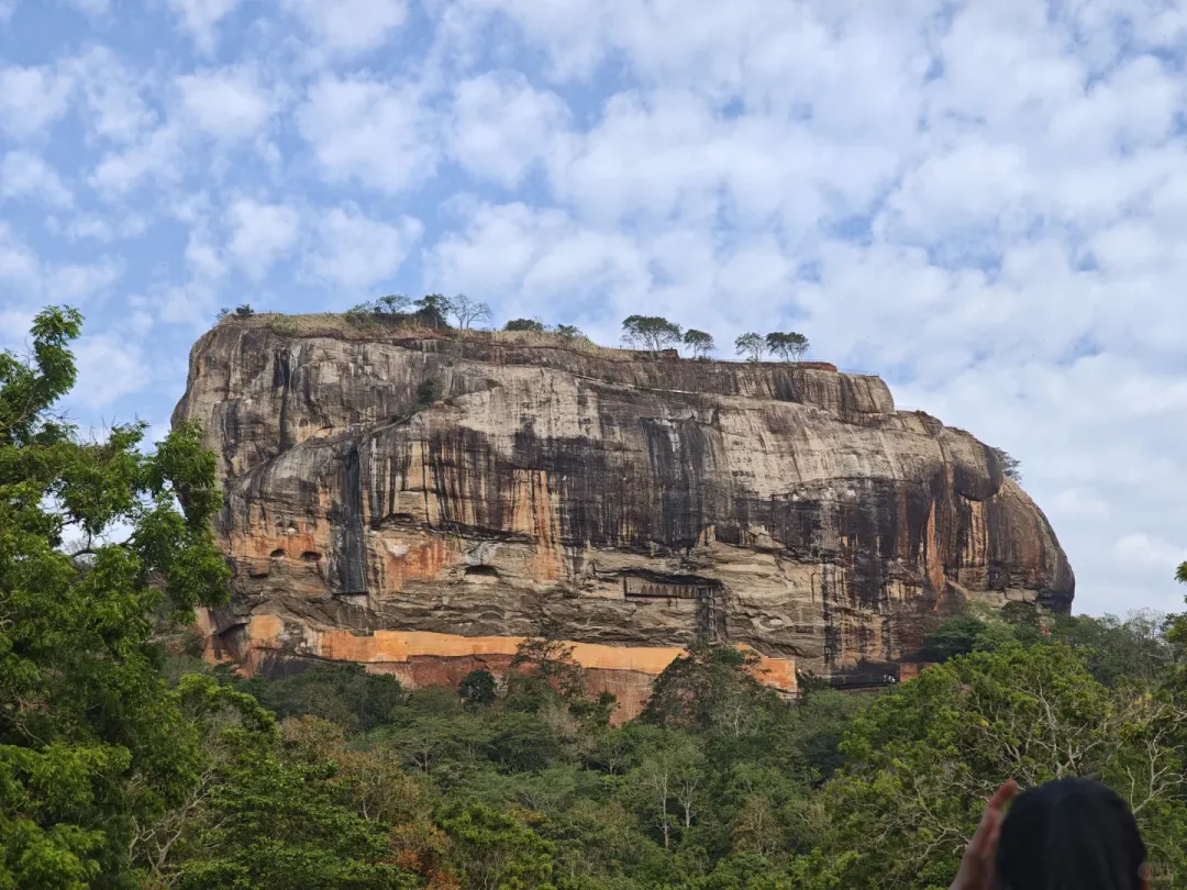 5905a624daa8ec926fd08ff212eed054-sz_2573809-1