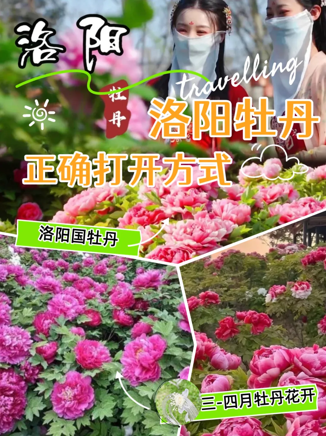 59113e96926550133e470aeae7321f52-sz_845671