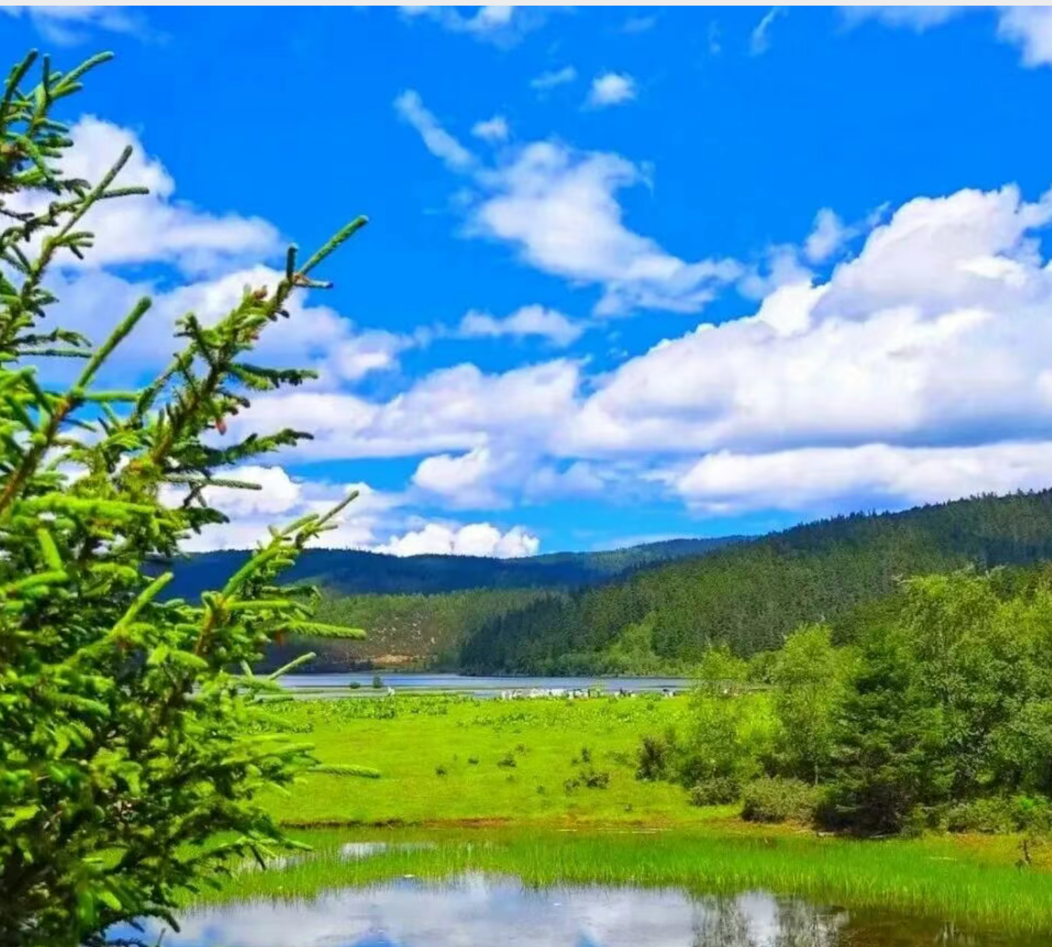 5919cac7ae4a0d7d208bb8441cfde44c