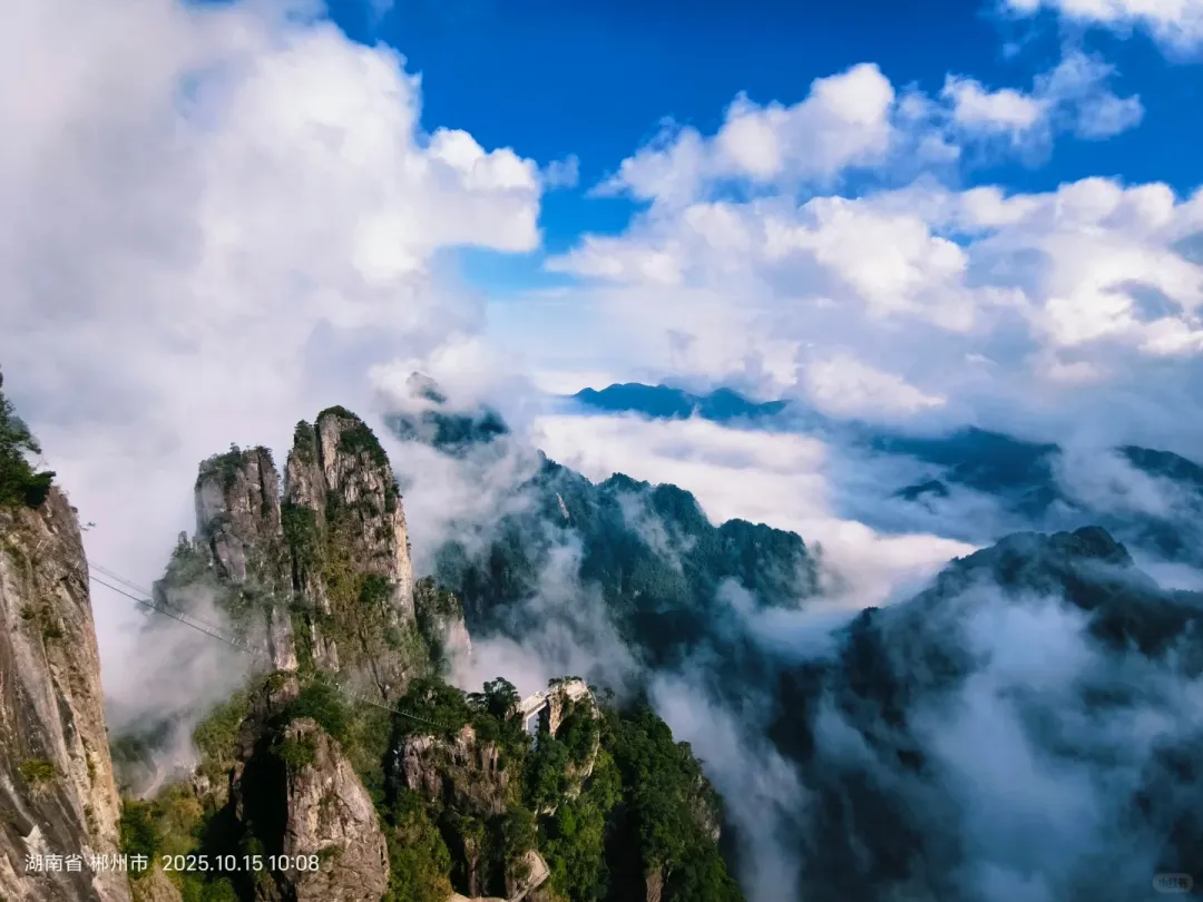 593d7d8e8fe57d31849ffccdb0997290-sz_306042-1