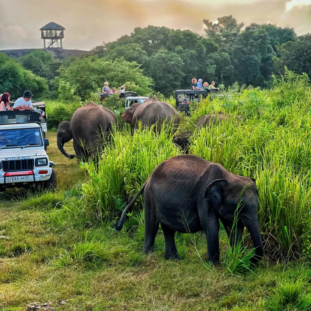 59745f978e2c673151425b76d41f05fa-sz_3176111