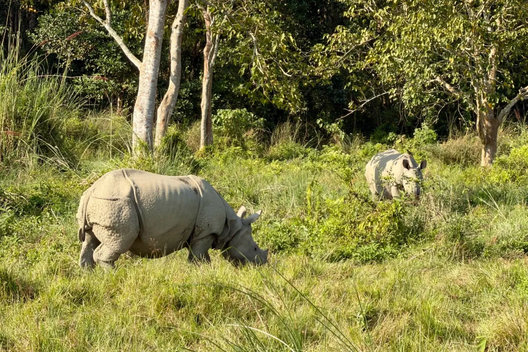 5a61702925fb7299f3ab4c25513db804-sz_1025972