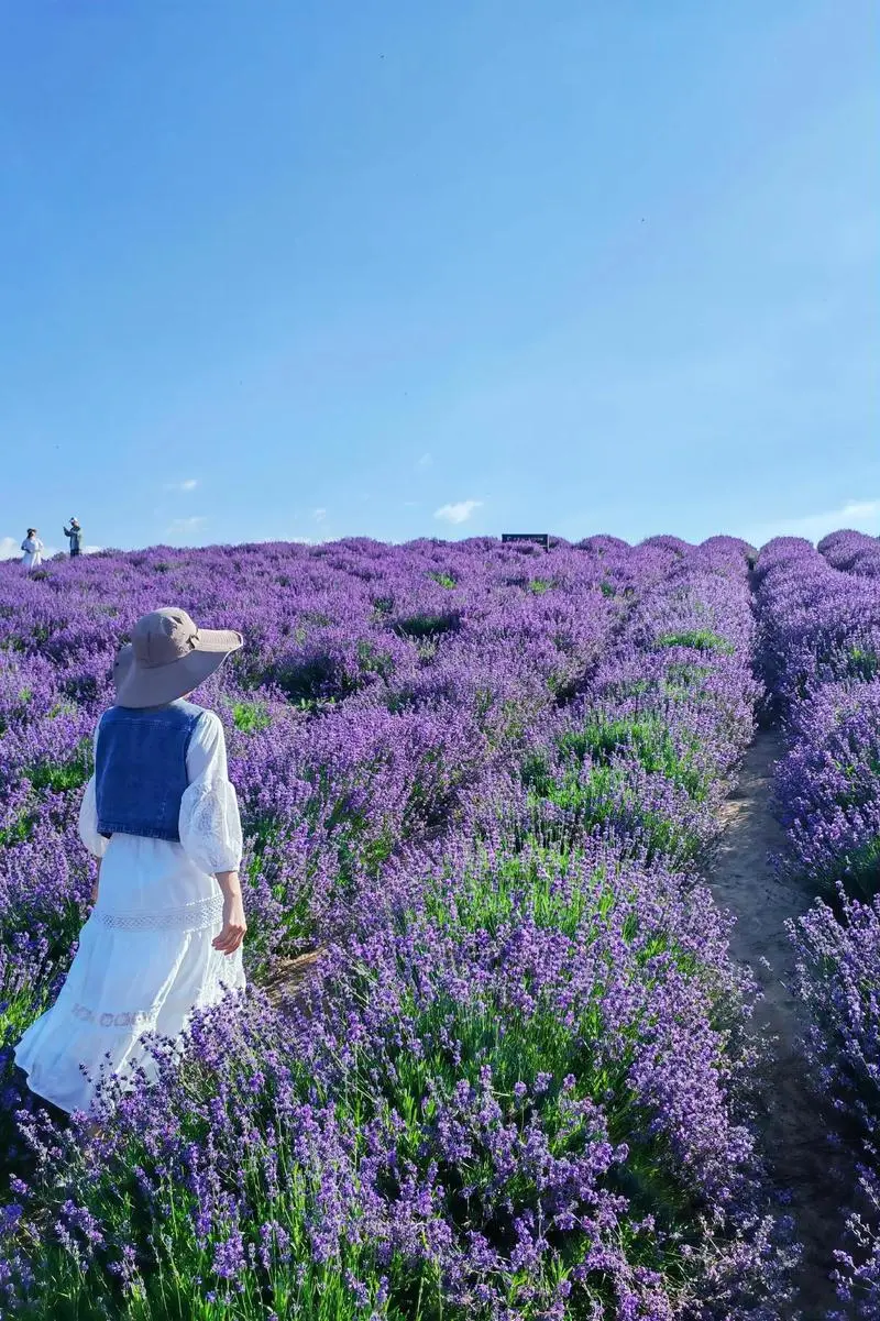 5aa44ca3f3af5ef21f685708faa4269b-sz_222285