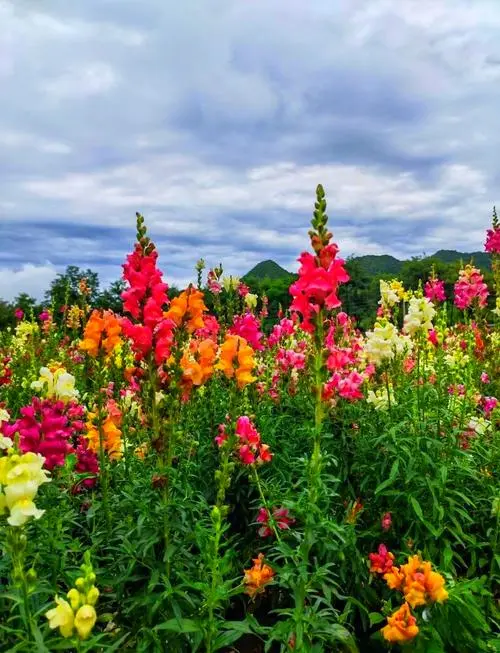 5b10cac123fd0f768b71c24b0089a861-sz_73758