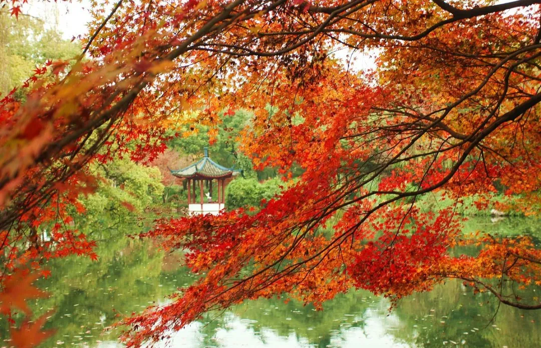 5b5b58af0a87e9701c2e5be217a542af-sz_904502