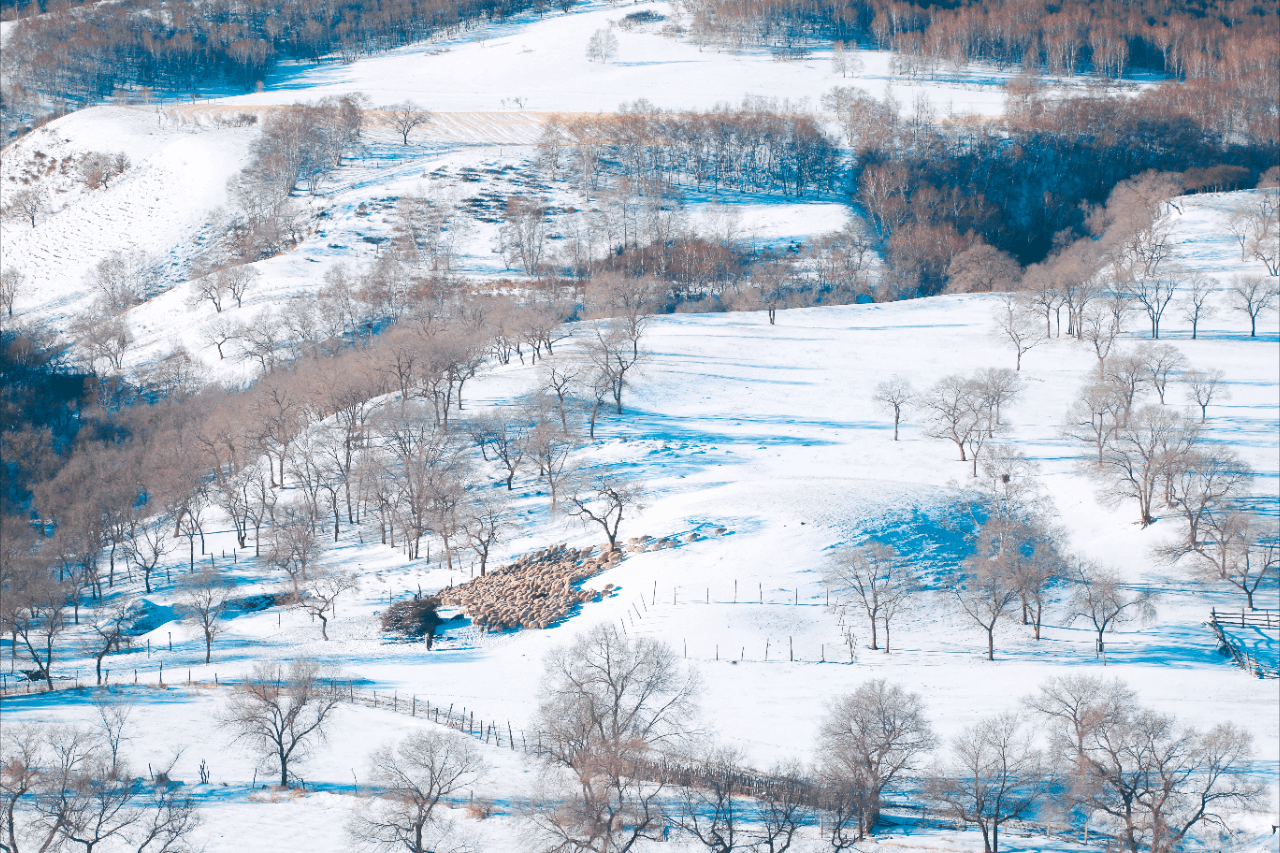 5b8fafe7b888e3aed5ff94508dc169f7-sz_3377933