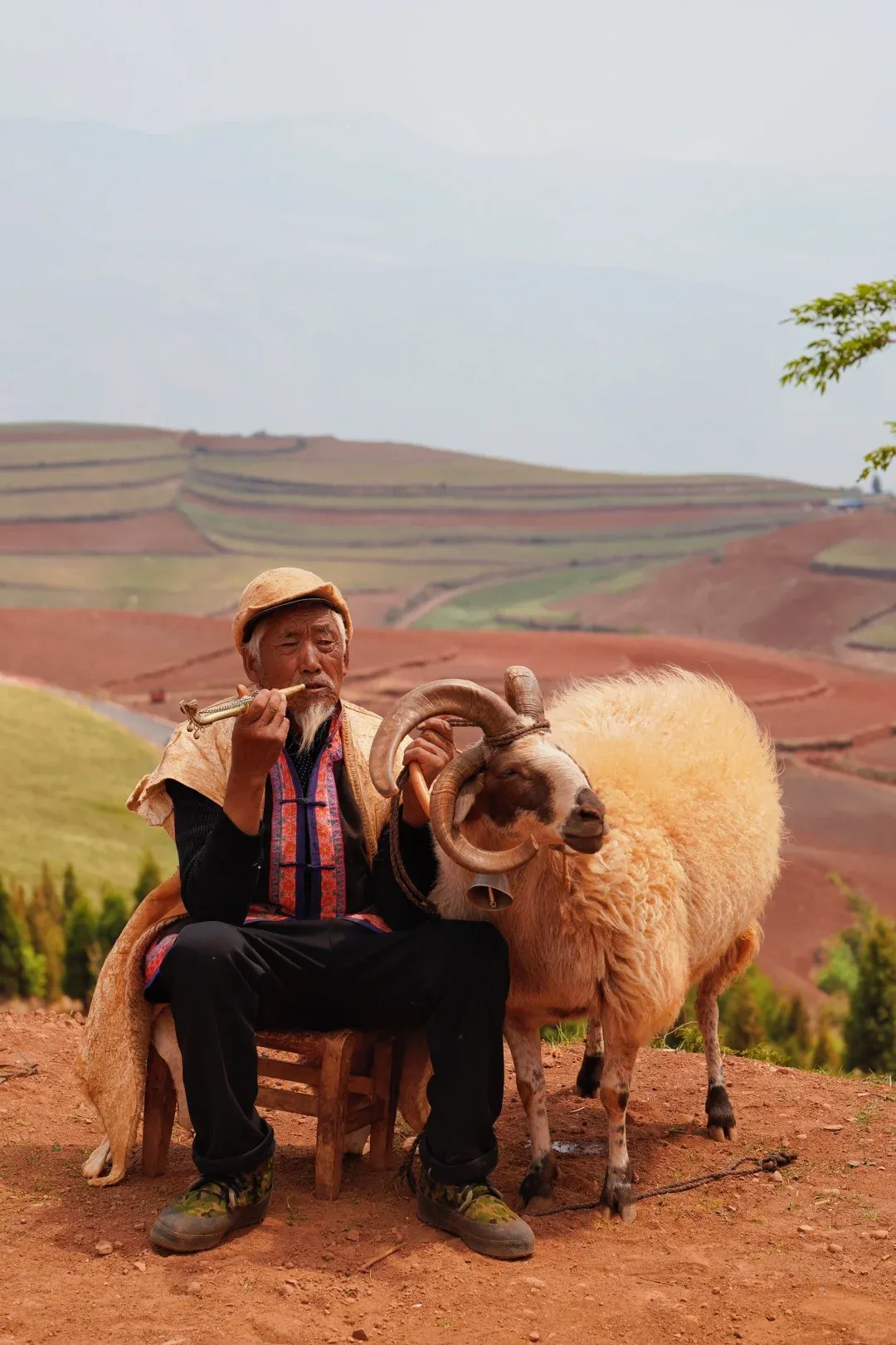 5bbf390dfbf3d19e7227f9b1148a8d27-sz_1706645-1